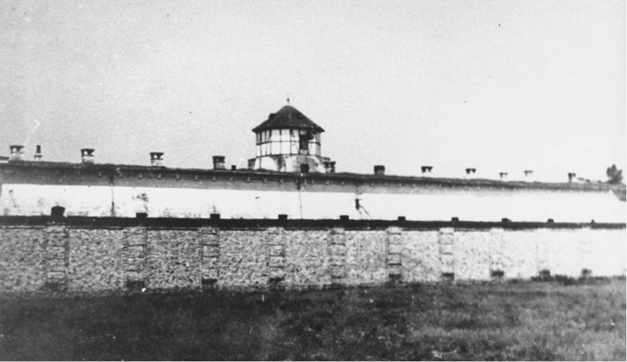 USTAŠE SU NAM UBACIVALE SODU DA STOMACI NABREKNU Jezivo svedočenje žene koja je preživela zloglasni NDH logor